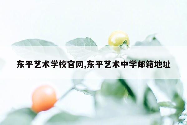 东平艺术学校官网,东平艺术中学邮箱地址