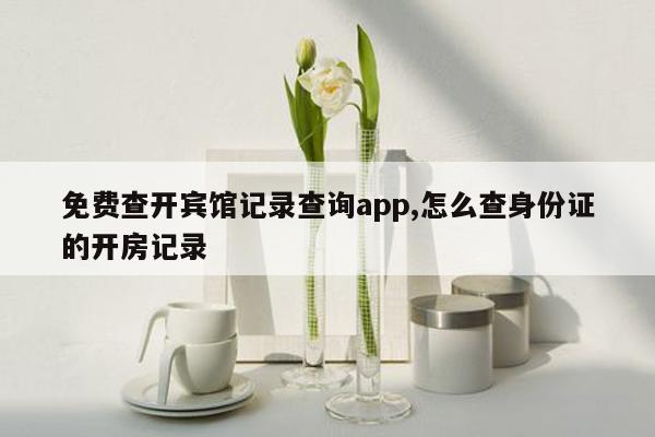 免费查开宾馆记录查询app,怎么查身份证的开房记录