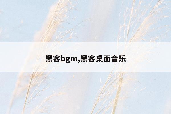 黑客bgm,黑客桌面音乐