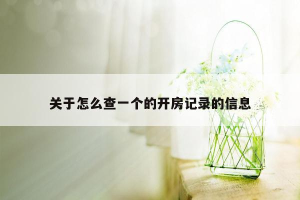 关于怎么查一个的开房记录的信息