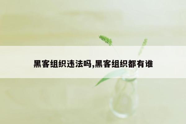 黑客组织违法吗,黑客组织都有谁