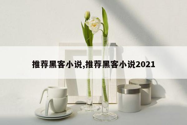 推荐黑客小说,推荐黑客小说2021