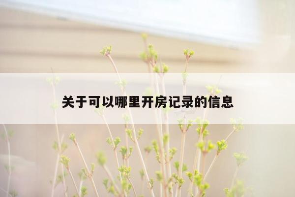 关于可以哪里开房记录的信息