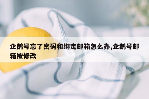 企鹅号忘了密码和绑定邮箱怎么办,企鹅号邮箱被修改