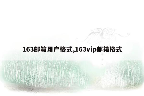 163邮箱用户格式,163vip邮箱格式