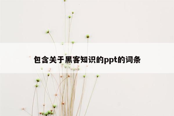 包含关于黑客知识的ppt的词条