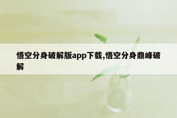 悟空分身破解版app下载,悟空分身鼎峰破解