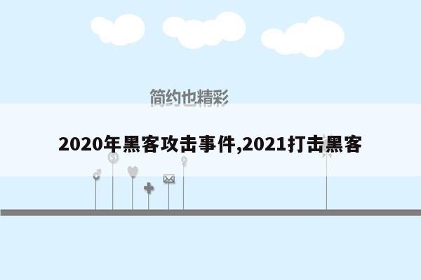 2020年黑客攻击事件,2021打击黑客