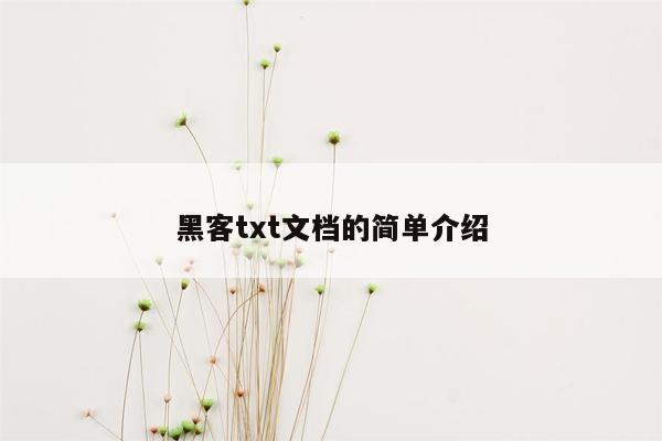 黑客txt文档的简单介绍