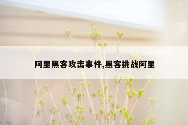 阿里黑客攻击事件,黑客挑战阿里