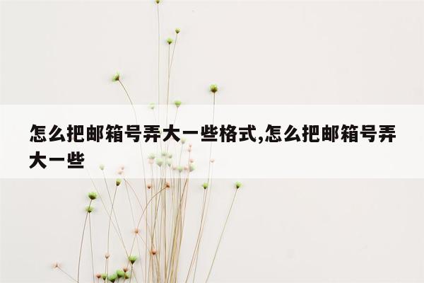 怎么把邮箱号弄大一些格式,怎么把邮箱号弄大一些