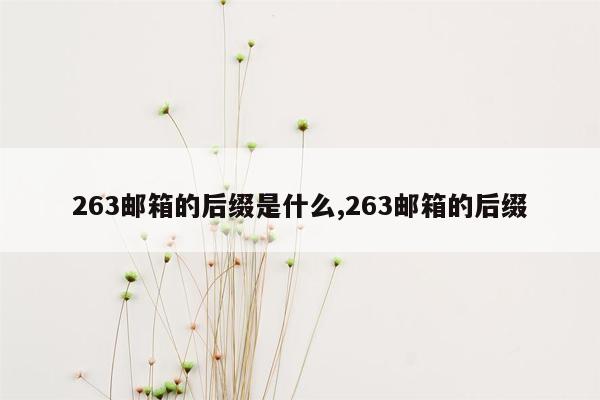 263邮箱的后缀是什么,263邮箱的后缀