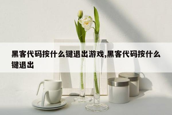 黑客代码按什么键退出游戏,黑客代码按什么键退出