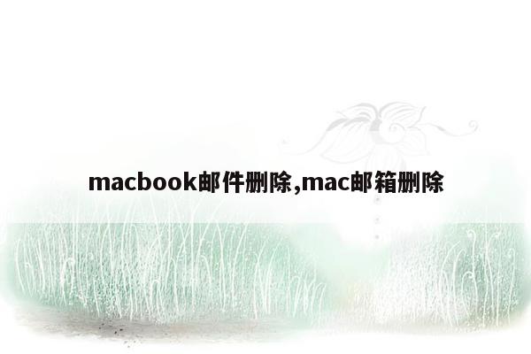 macbook邮件删除,mac邮箱删除