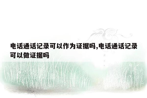 电话通话记录可以作为证据吗,电话通话记录可以做证据吗