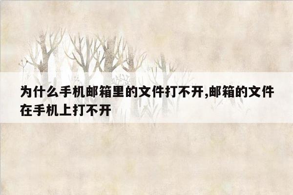 为什么手机邮箱里的文件打不开,邮箱的文件在手机上打不开