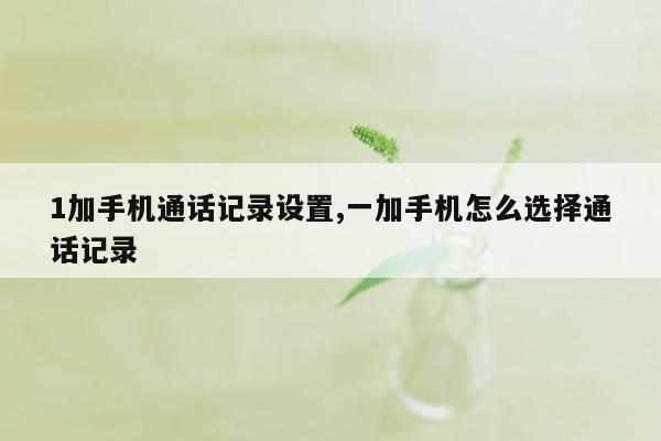 1加手机通话记录设置,一加手机怎么选择通话记录