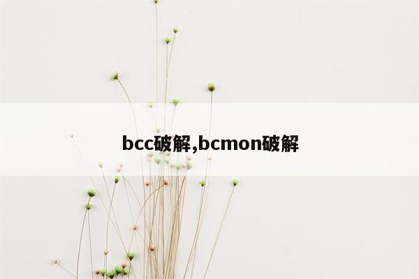 bcc破解,bcmon破解