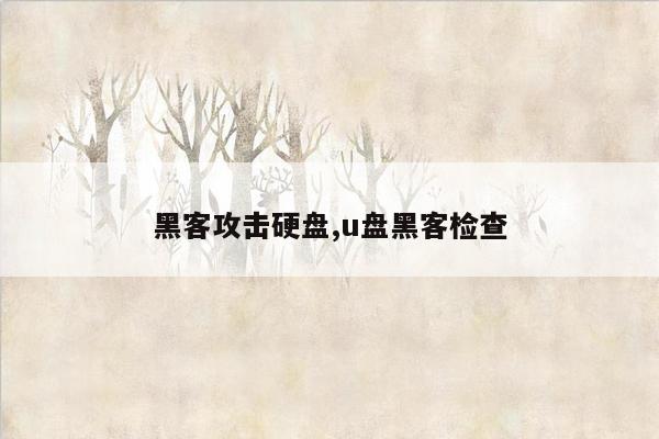 黑客攻击硬盘,u盘黑客检查