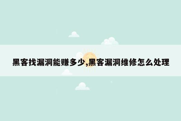 黑客找漏洞能赚多少,黑客漏洞维修怎么处理