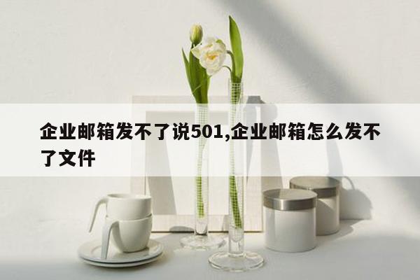 企业邮箱发不了说501,企业邮箱怎么发不了文件