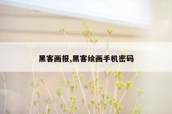 黑客画报,黑客绘画手机密码