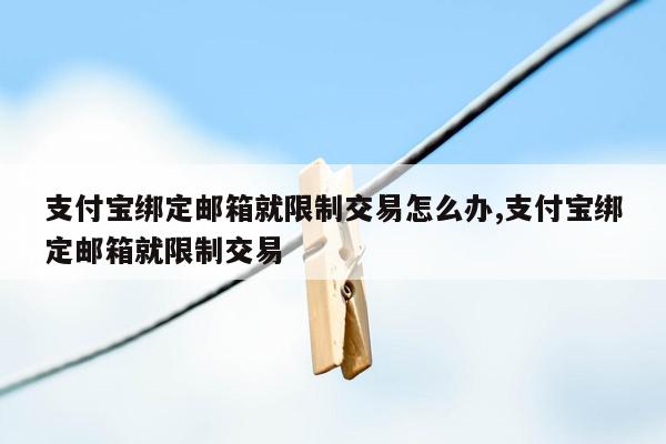 支付宝绑定邮箱就限制交易怎么办,支付宝绑定邮箱就限制交易