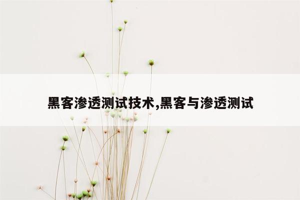 黑客渗透测试技术,黑客与渗透测试