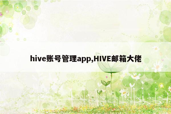 hive账号管理app,HIVE邮箱大佬