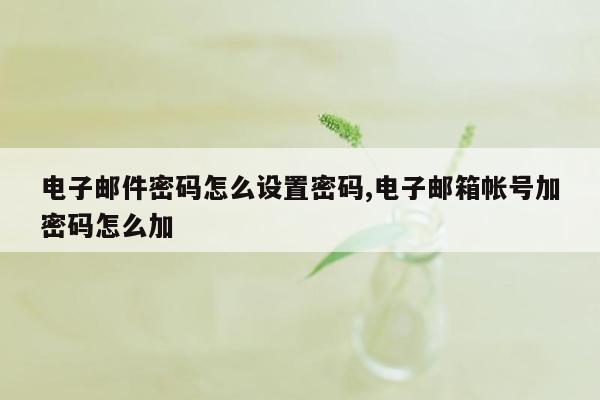 电子邮件密码怎么设置密码,电子邮箱帐号加密码怎么加