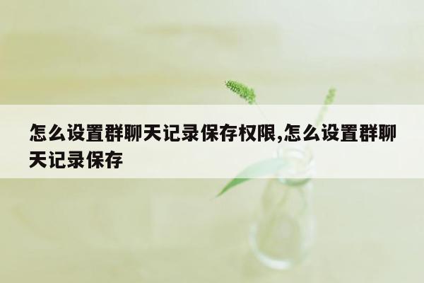 怎么设置群聊天记录保存权限,怎么设置群聊天记录保存