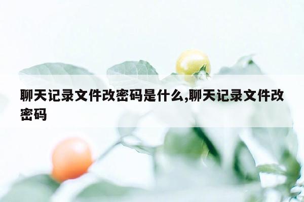 聊天记录文件改密码是什么,聊天记录文件改密码