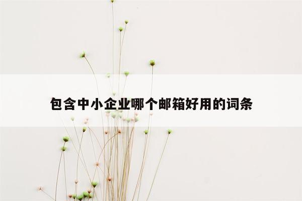 包含中小企业哪个邮箱好用的词条