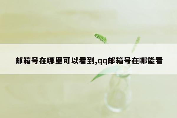 邮箱号在哪里可以看到,qq邮箱号在哪能看