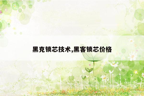 黑克锁芯技术,黑客锁芯价格