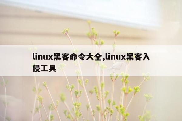 linux黑客命令大全,linux黑客入侵工具