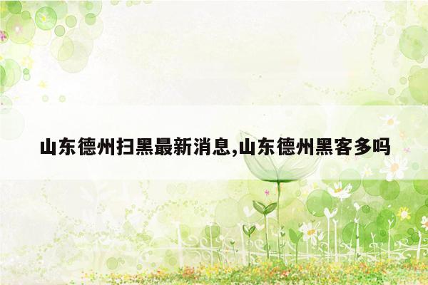 山东德州扫黑最新消息,山东德州黑客多吗