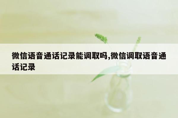 微信语音通话记录能调取吗,微信调取语音通话记录