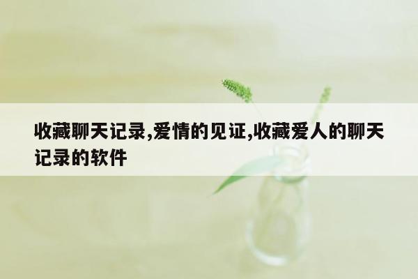 收藏聊天记录,爱情的见证,收藏爱人的聊天记录的软件