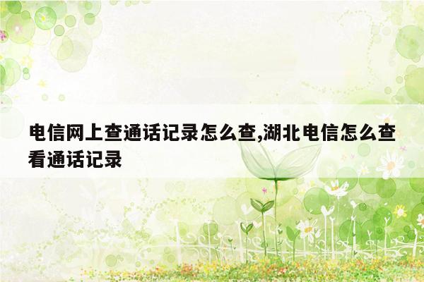 电信网上查通话记录怎么查,湖北电信怎么查看通话记录