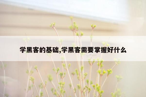 学黑客的基础,学黑客需要掌握好什么