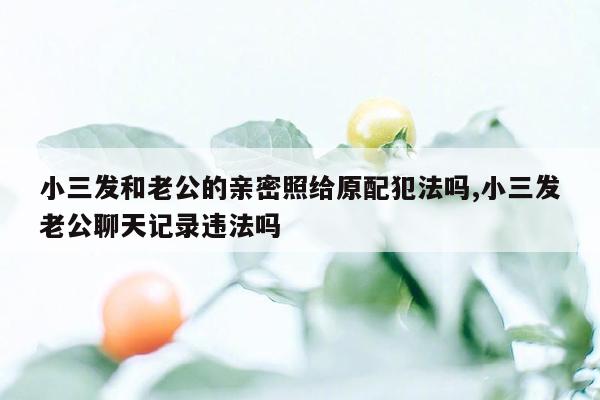 小三发和老公的亲密照给原配犯法吗,小三发老公聊天记录违法吗