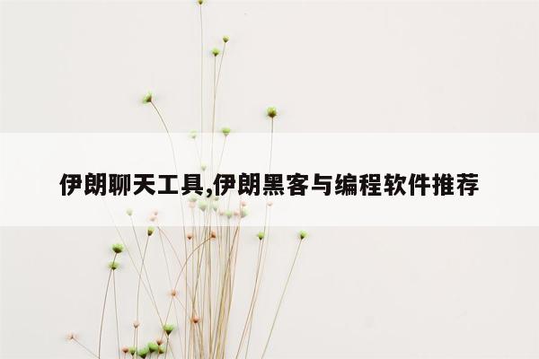 伊朗聊天工具,伊朗黑客与编程软件推荐