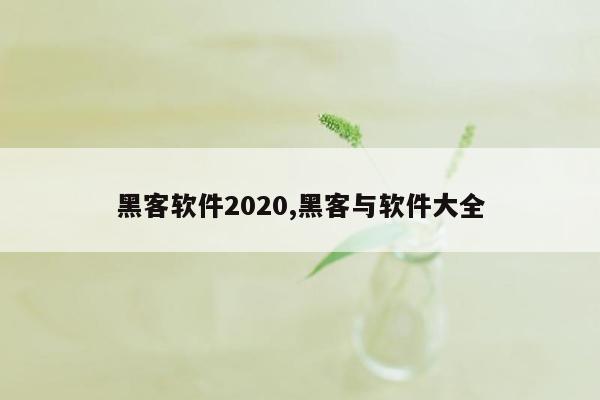 黑客软件2020,黑客与软件大全