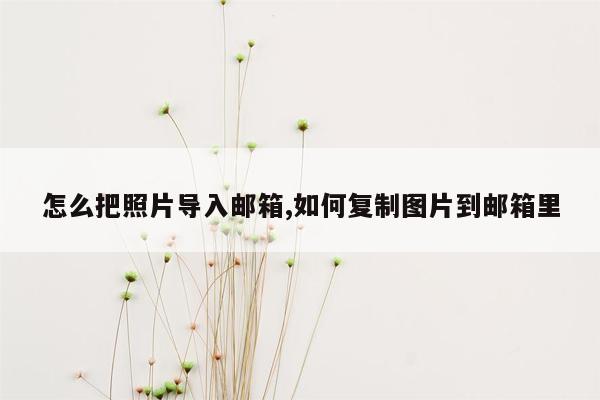 怎么把照片导入邮箱,如何复制图片到邮箱里