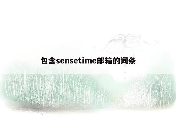 包含sensetime邮箱的词条