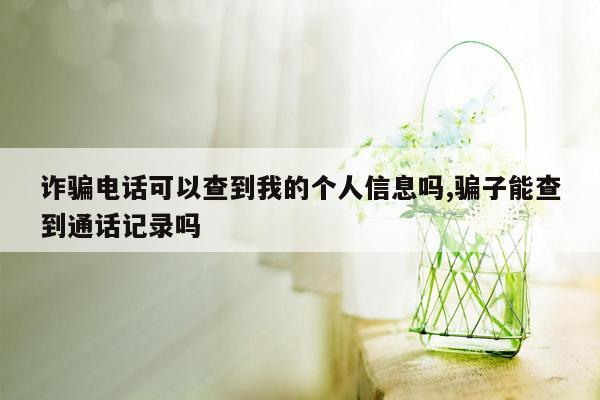 诈骗电话可以查到我的个人信息吗,骗子能查到通话记录吗