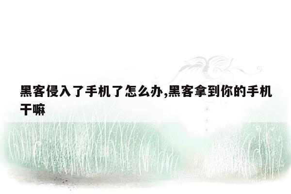 黑客侵入了手机了怎么办,黑客拿到你的手机干嘛