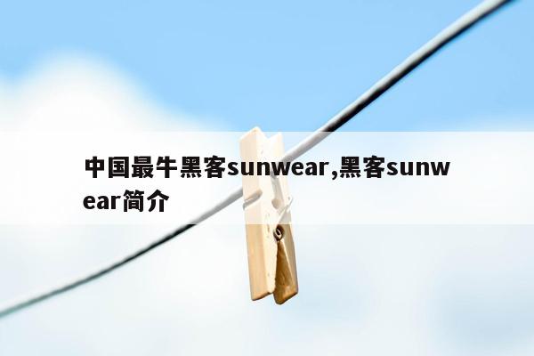 中国最牛黑客sunwear,黑客sunwear简介