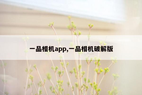 一品相机app,一品相机破解版